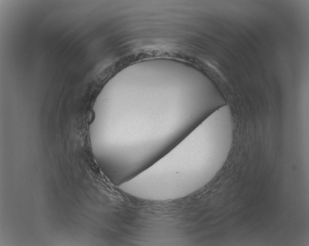 X0000051921015200506241123