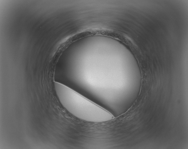 X0000051921016200506241123