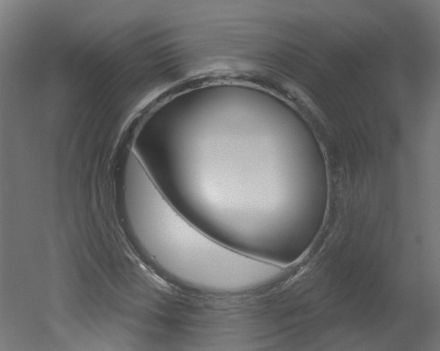 X0000051921018200506241124