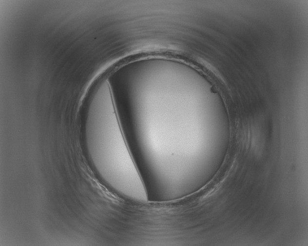 X0000051921021200506241124