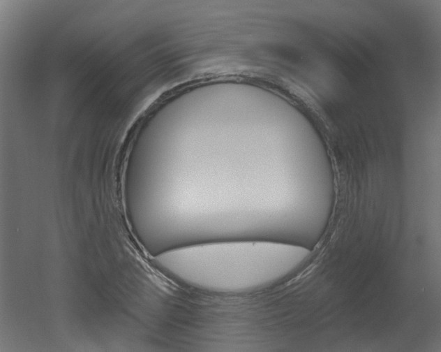 X0000051921023200506241124