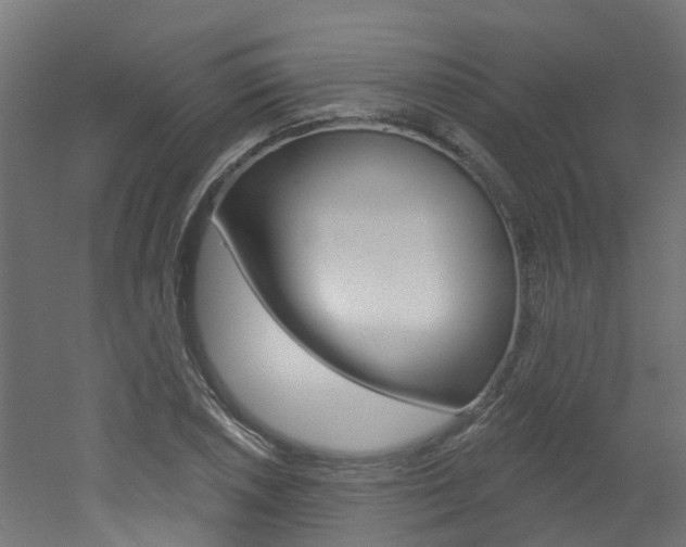 X0000051921026200506241124
