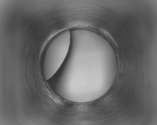 X0000051921027200506241124