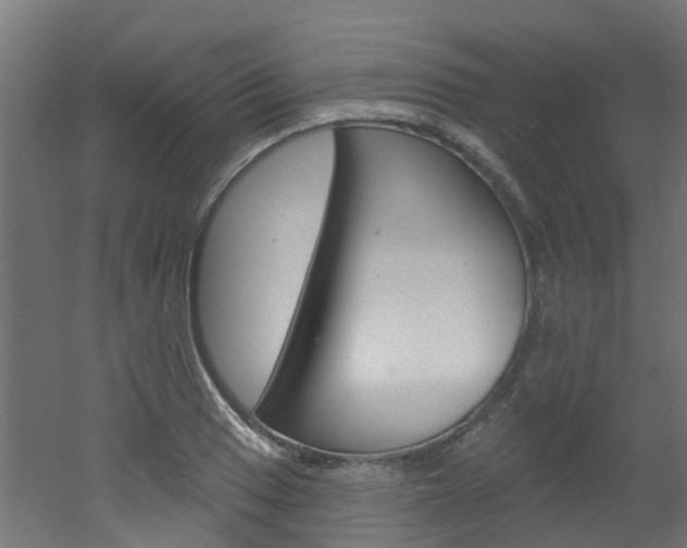 X0000051921033200506241124