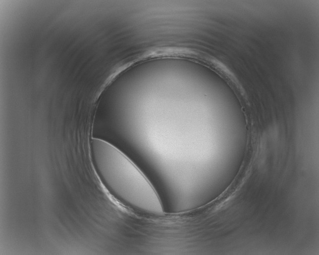 X0000051921041200506241124