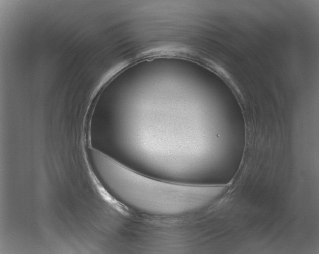 X0000051921042200506241124