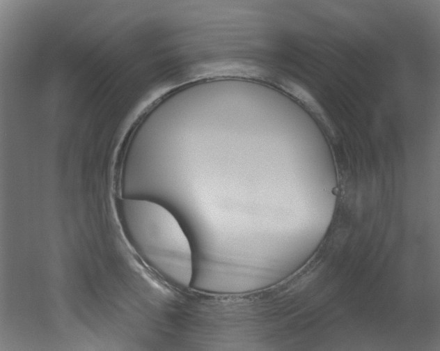 X0000051921043200506241124