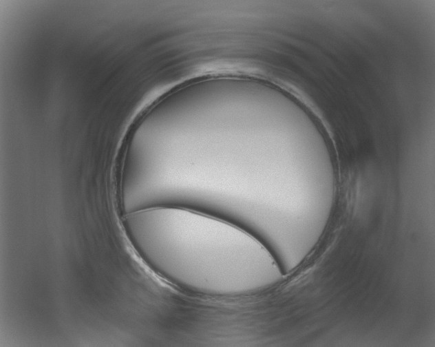 X0000051921045200506241124