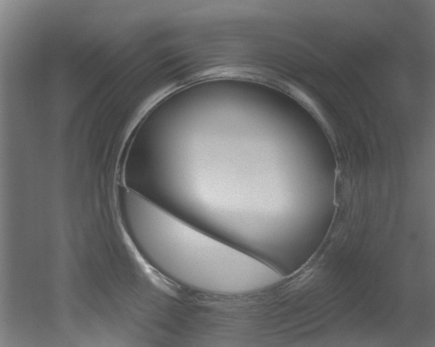 X0000051921050200506241124