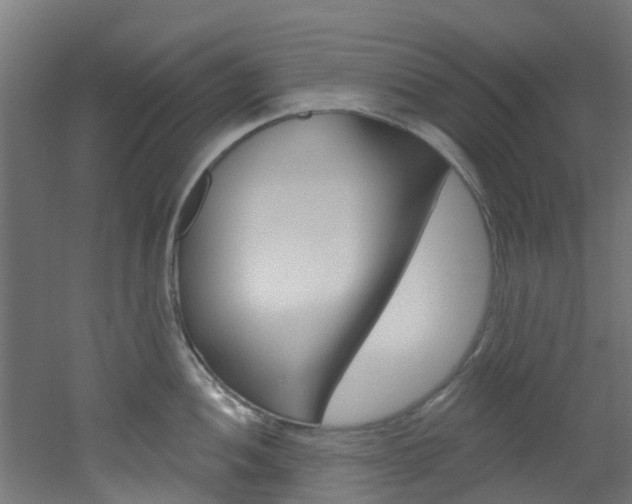 X0000051921052200506241124