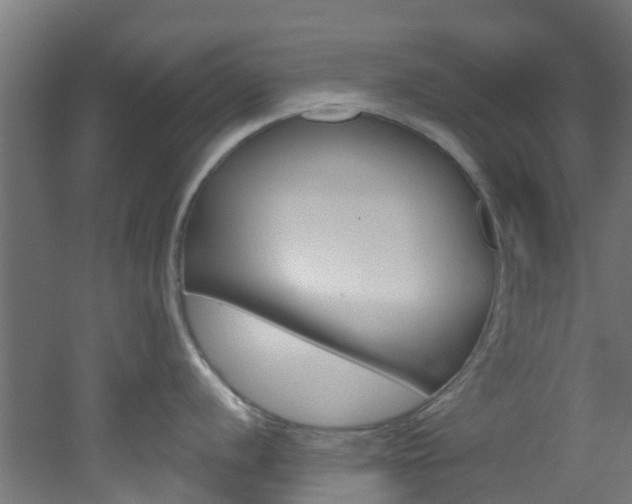 X0000051921056200506241124