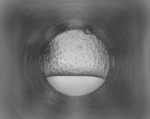 X0000051921059200506241123