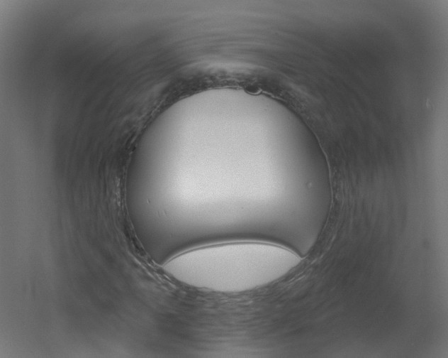 X0000051921061200506241123