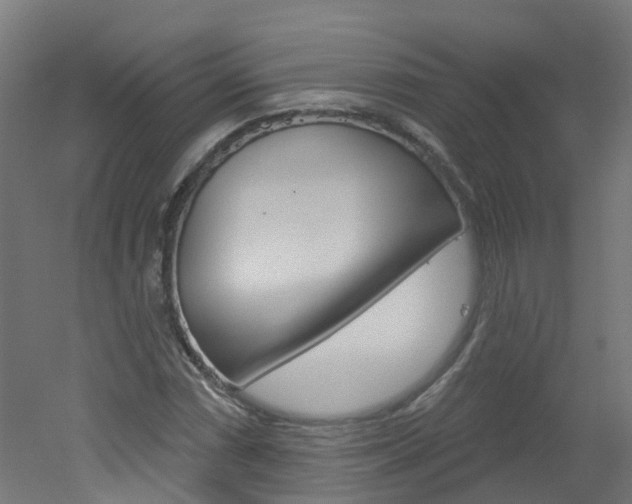 X0000051921066200506241123