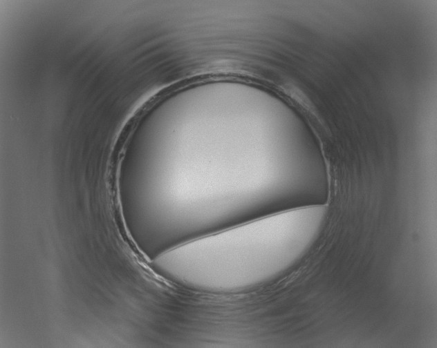 X0000051921068200506241123