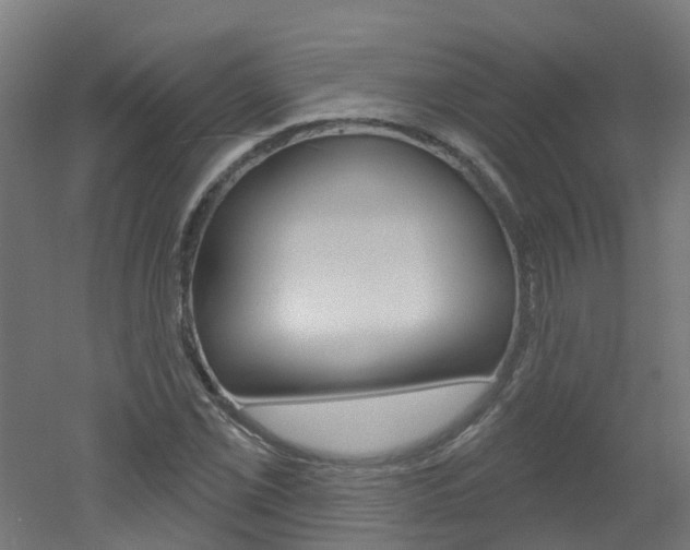 X0000051921069200506241123