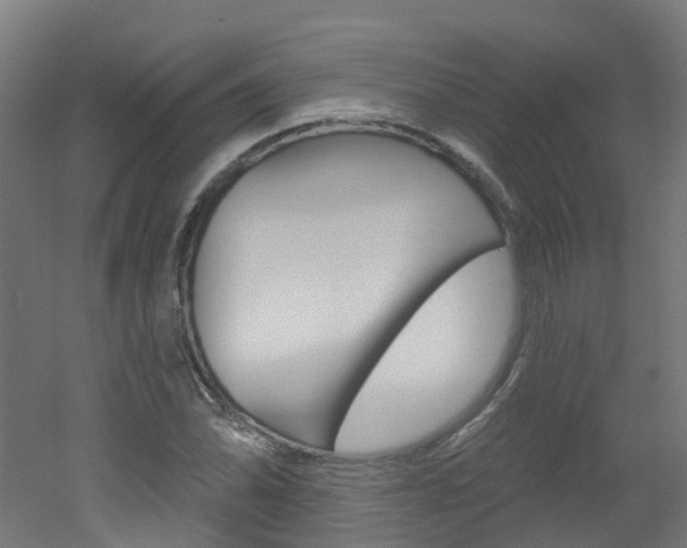 X0000051921070200506241123