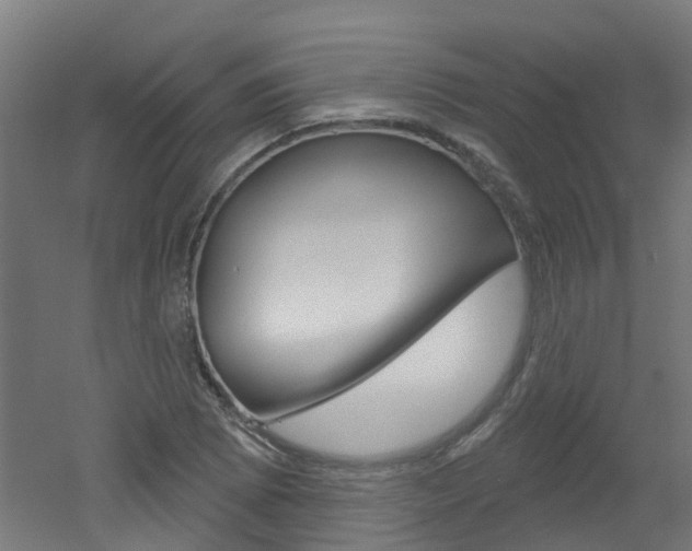 X0000051921073200506241123