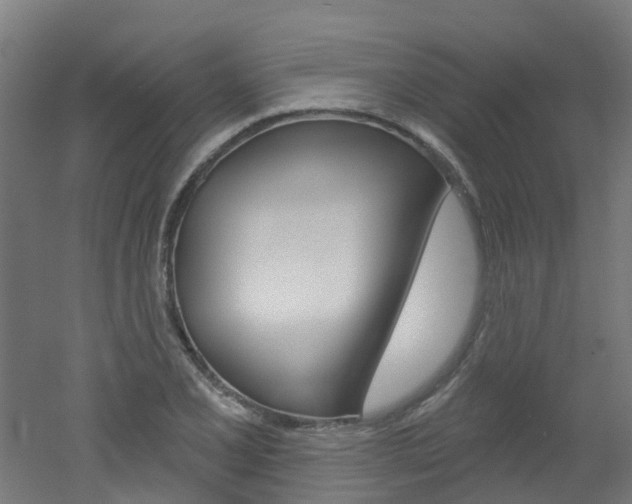 X0000051921077200506241123