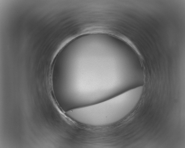 X0000051921101200506241123