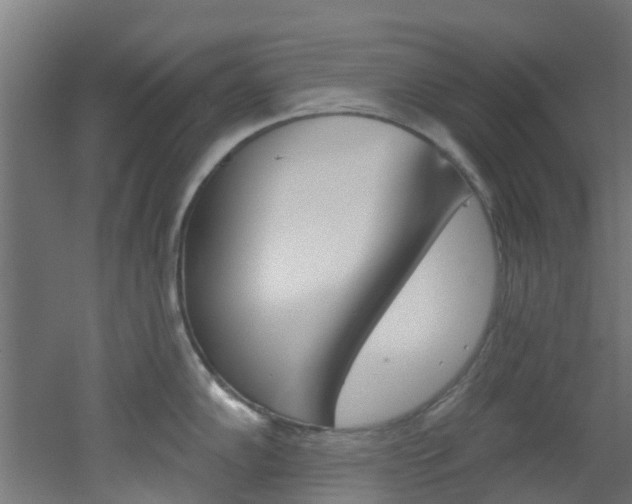 X0000051921102200506241123