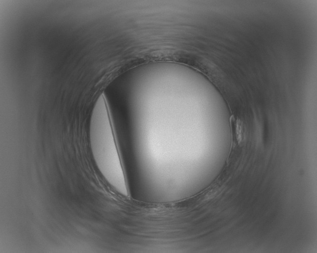 X0000051921107200506241122