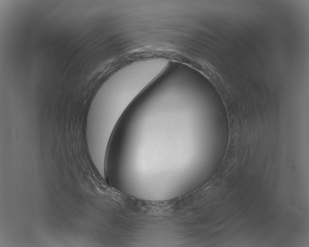 X0000051921110200506241122