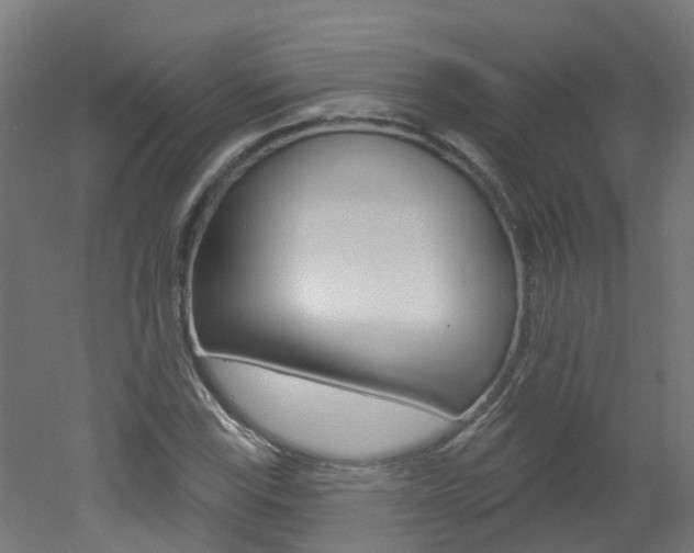 X0000051921115200506241122