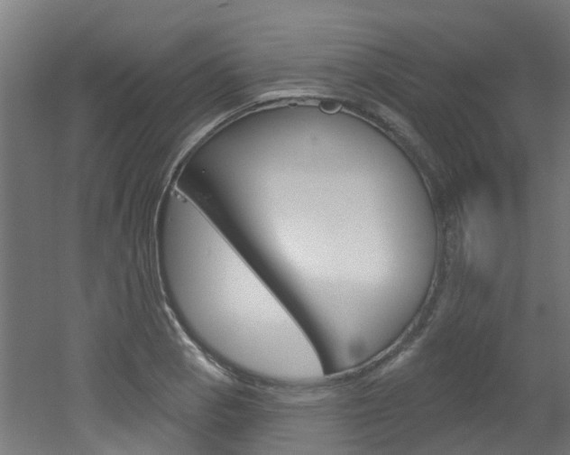 X0000051921129200506241122