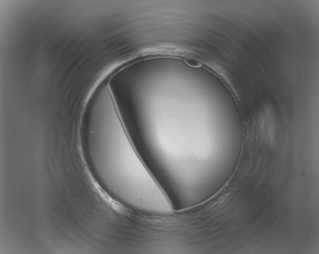 X0000051921131200506241122