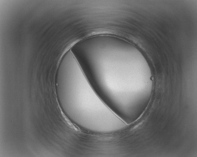 X0000051921137200506241122