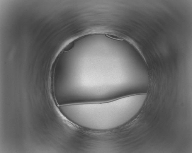 X0000051921147200506241122