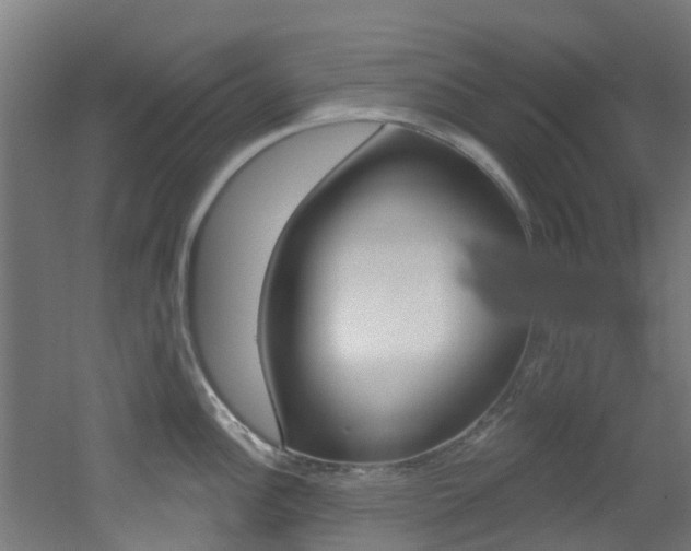 X0000051921148200506241122