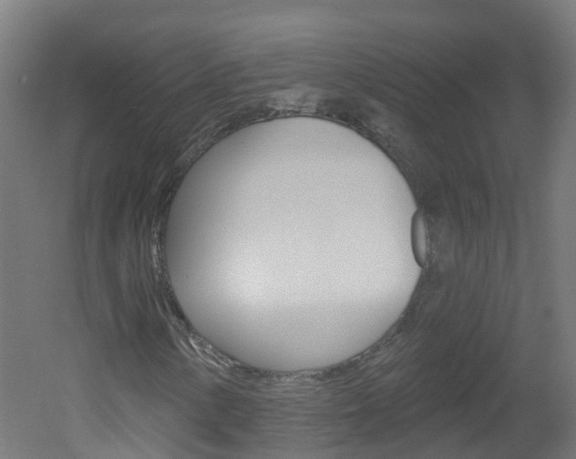 X0000051921154200506241122