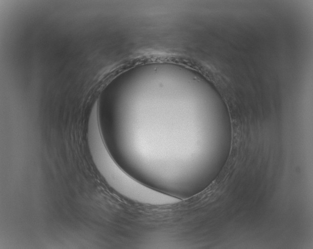 X0000051921157200506241122