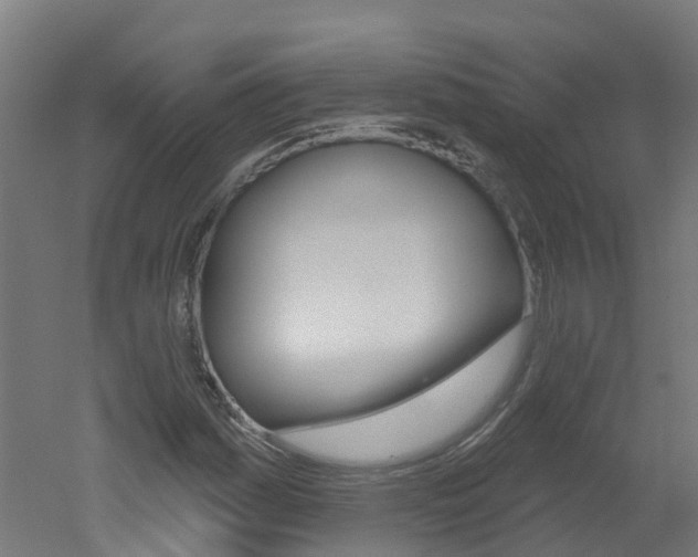 X0000051921161200506241122