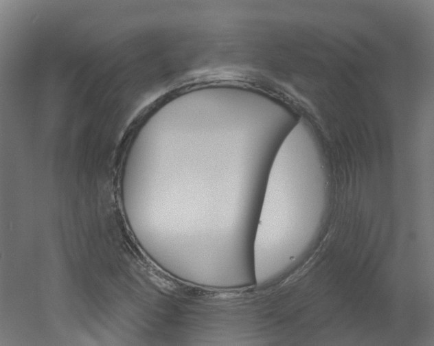 X0000051921166200506241121