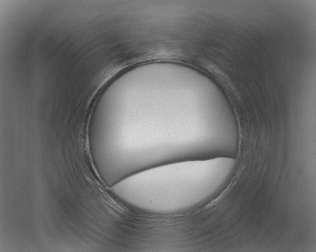 X0000051921170200506241121