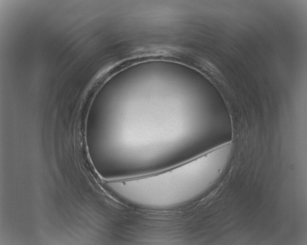 X0000051921172200506241121