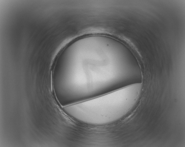 X0000051921175200506241121