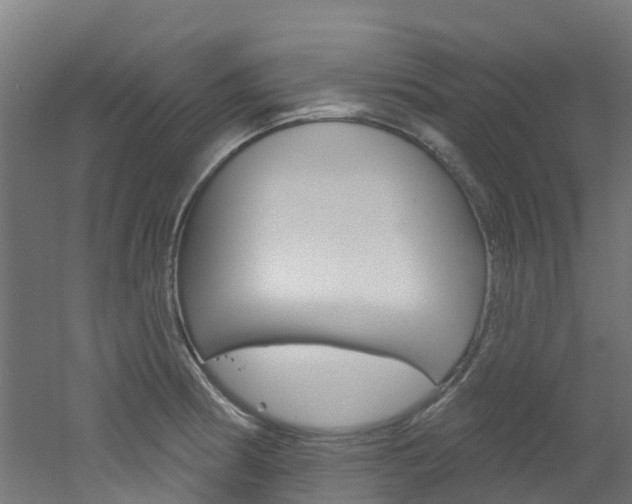 X0000051921186200506241121