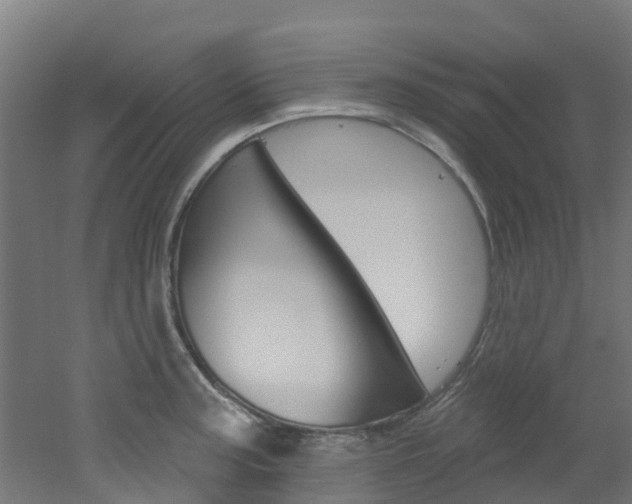 X0000051921187200506241121