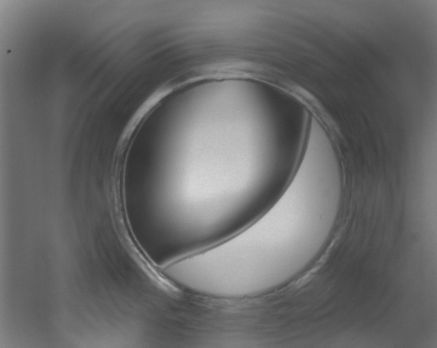 X0000051921196200506241121