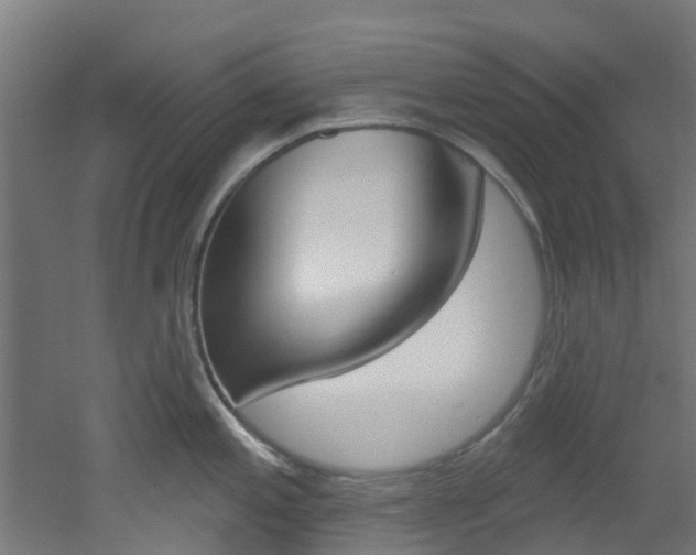 X0000051921197200506241121