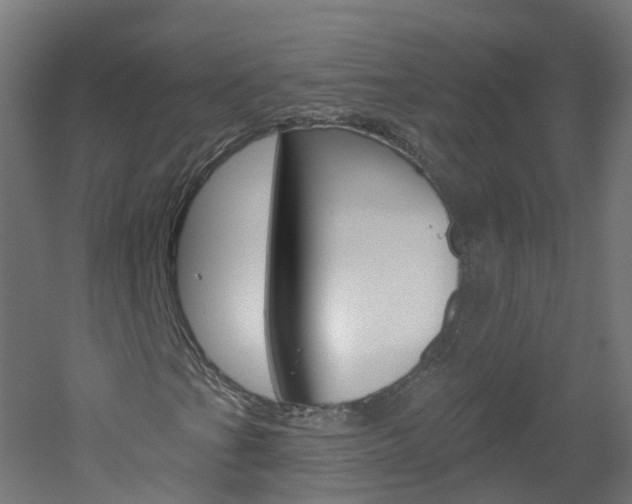 X0000051921201200506241120