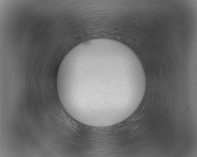 X0000051921202200506241120