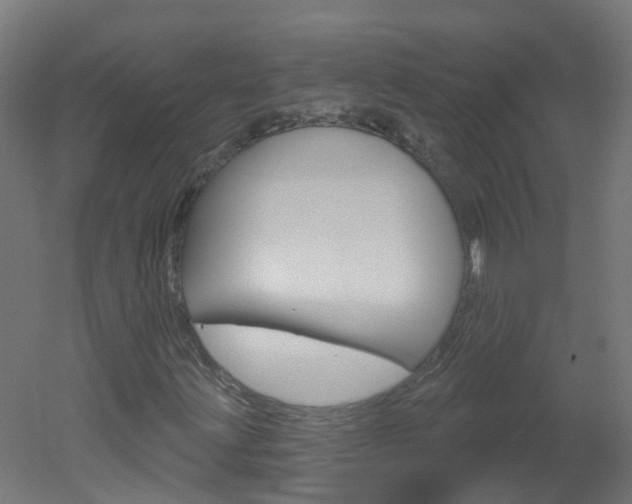 X0000051921203200506241120