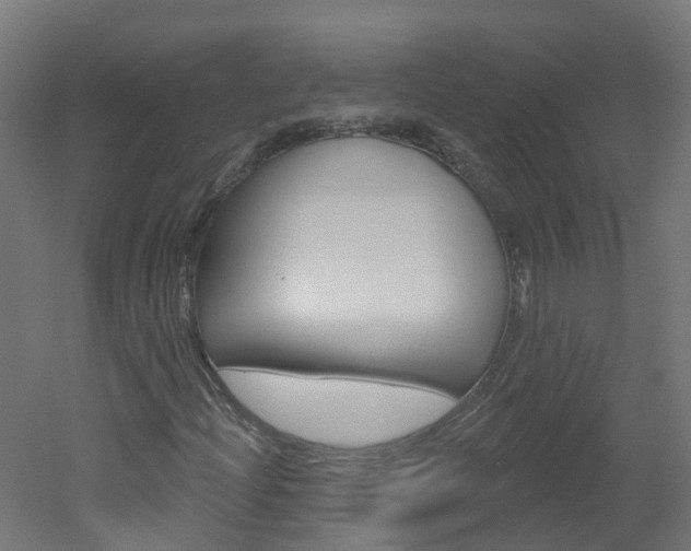 X0000051921204200506241120