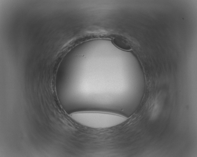 X0000051921205200506241120