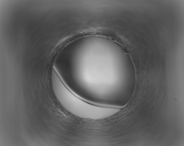X0000051921206200506241120